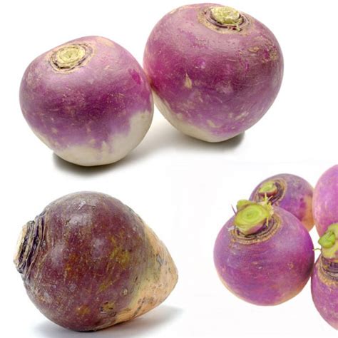 Turnips | Health Properties , Nutrition Information | Veggies Info