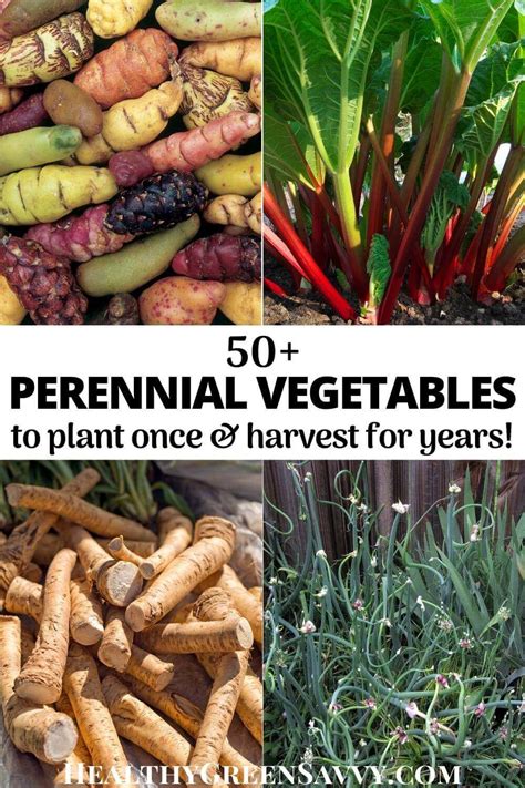 Perennial Vegetables to Plant Once & Harvest for Years!