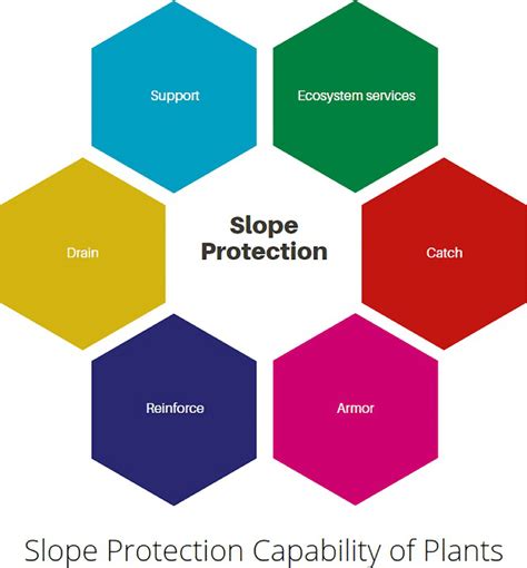 Slope protection capabilities of plants. | Download Scientific Diagram