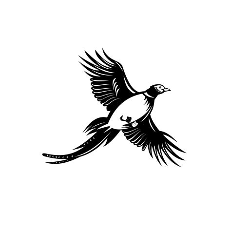 Ring-Necked Pheasant Flying Up Retro Black and White 1918155 Vector Art ...