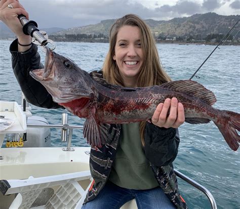 Lingcod, rockfish biting off of Brookings - Brookings Fishing Reports