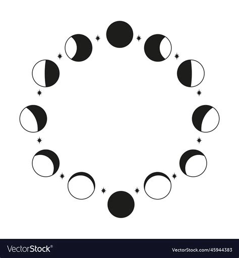 Poster of moon cycle Royalty Free Vector Image