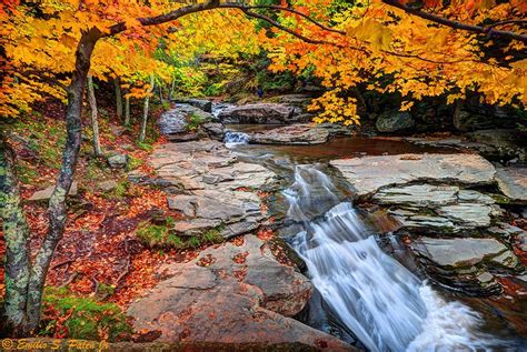 Autumn in New York, Kaaterskill Creek, Catskill Region fall foliage in New York | Fall foliage ...