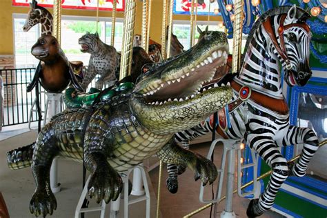 Endangered Species Carousel | Turtle Back Zoo