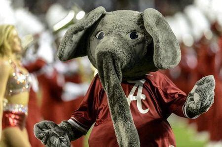 Who is the state's best college football mascot? Check out our 12 favorites - al.com