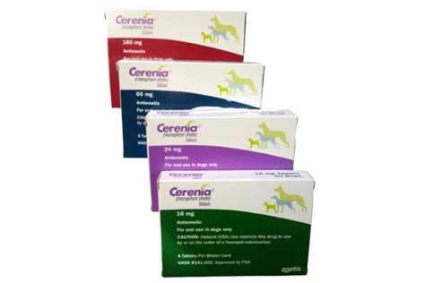 Cerenia for Dogs - Uses, Dosage and Side Effects of Maropitant