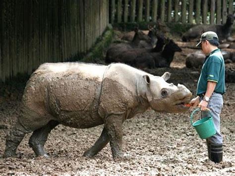 (2024) Lok Kawi Wildlife Park Tour, Sabah - AMI Travel & Tours