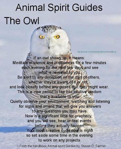 Your Animal Spirit Guide for April 7th is The Owl – Witches Of The Craft®