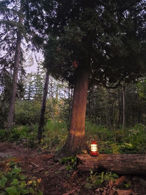 Minnesota Glamping Near Cove Point Lodge