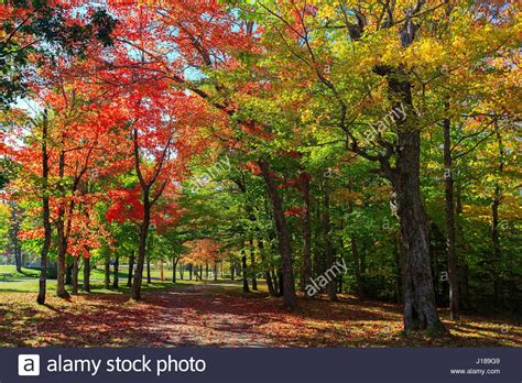 Brilliant fall foliage in rural Nova Scotia, Canada. Photo from Verena ...