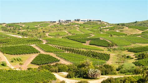 A guide to Uruguay's Maldonado wine region - South America Wine Guide