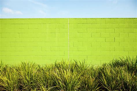 Green Wall With Plants by Christian Adams