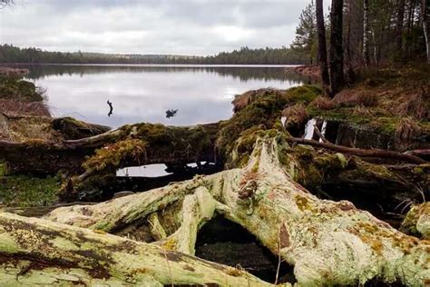 10 National Parks In Estonia And Reserves That You Must Visit