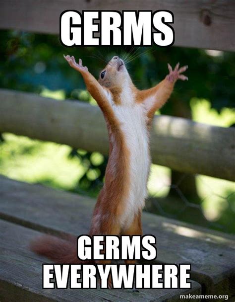 GERMS GERMS EVERYWHERE - Happy Squirrel | Make a Meme