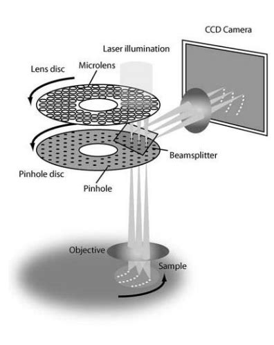 Spinning Disc Confocal - Institute for Molecular Bioscience - University of Queensland