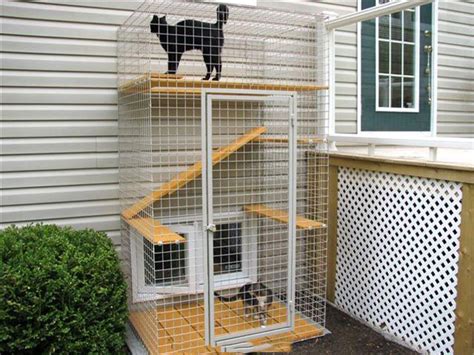 ESTE ES UN CATIO UN LUGAR HECHO PARA QUELO GATOS NO SE ESCAPEN DE SU ...