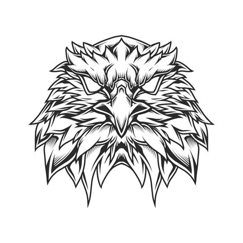 Eagle Head Line Art Illustration 4967416 Vector Art at Vecteezy