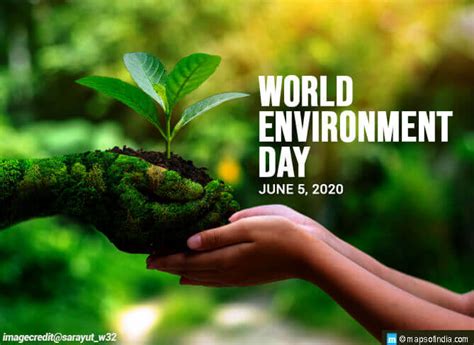 World Environment Day - DeziRohina