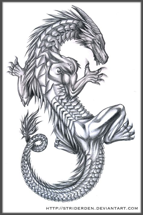 Free Dragon Tattoos, Download Free Dragon Tattoos png images, Free ClipArts on Clipart Library