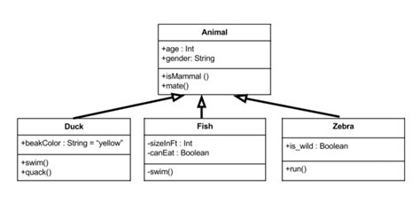 Uml Inheritance Class Diagram