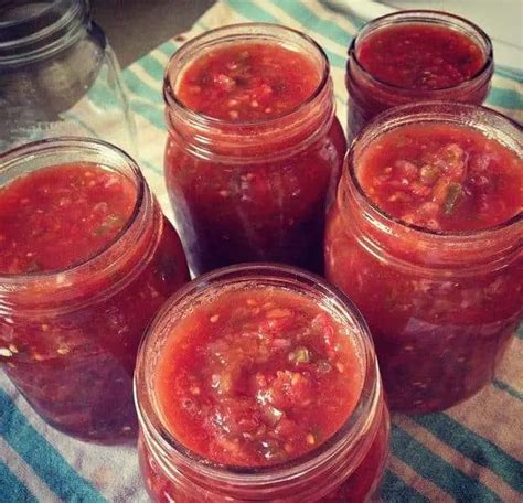 Canning Fresh Tomato Salsa- Two Great Recipes! ~ Family Food Garden