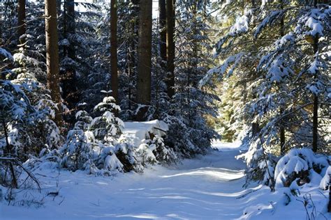 Best Hiking Trails in Virginia - HikePackers