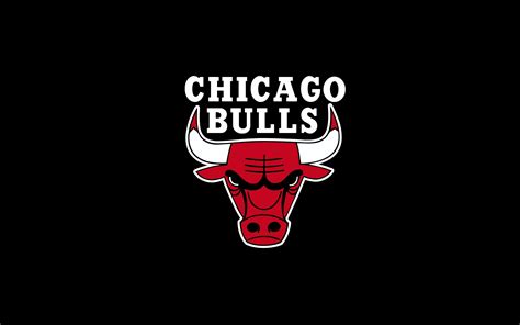 Bulls Wallpaper HD - WallpaperSafari