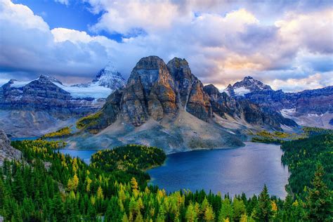 Download Tree Forest Lake Canada Mountain Nature Mount Assiniboine HD Wallpaper