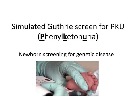 PPT - Phenylketonuria (PKU) screening PowerPoint Presentation, free ...