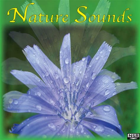 Nature Sounds - Nature Sounds | iHeart