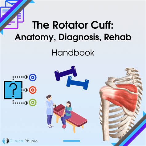 The Rotator Cuff: Anatomy, Diagnosis, Rehab Handbook | Clinical Physio