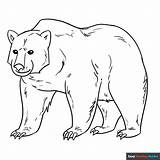 Free Printable Bear Coloring Pages For Kids sketch template