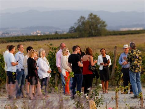 O'Vineyards Carcassonne on a wine tour and tasting Carcassonne, Wine And Dine, Wine Tour ...