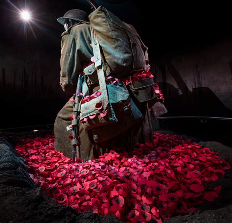 Gallipoli: The scale of our war – in poppies | Te Papa’s Blog