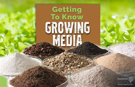 Getting To Know Growing Media | Garden Culture Magazine