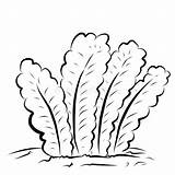 Grass Coloring Page For Children Stock Vector  Illustration Of sketch template