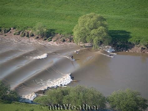 Severn Bore - tidal change on Severn river causes a wave upstream, surf-able | Green energy ...