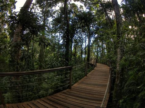 A Bucket List Journey on the Kuranda Skyrail – Onwards + Upwards