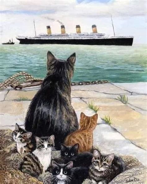 The Titanic Cat. Artist: Celia Pike : r/titanic