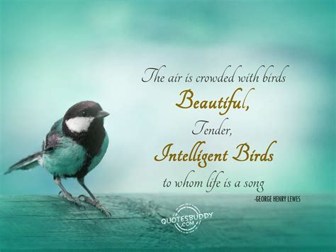 Pin on ~QUOTATIONS, SAYINGS, AND POETRY~ | Love birds quotes, Beautiful birds, Bird quotes