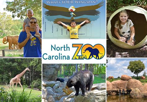 A Day Trip to the North Carolina Zoo | Macaroni KID Hickory - Western Piedmont