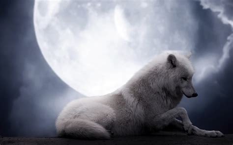 Wolf Full Moon Wallpaper - WallpaperSafari