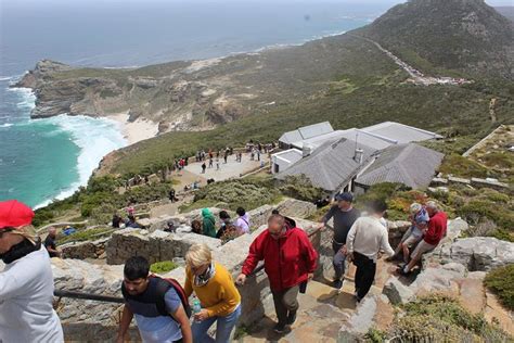 Tour privato di un'intera giornata della penisola del Capo da Città del Capo 2024