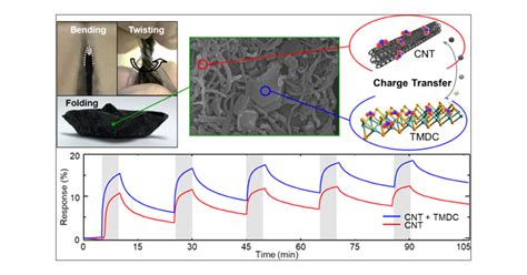 Hybrid Integration of Carbon Nanotubes and Transition Metal Dichalcogenides on Cellulose Paper ...