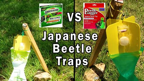 Spectracide Japanese Beetle Spray - Captions Trending Update