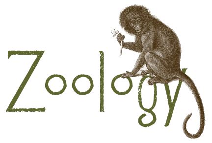 The BoBunny Blog: Zoology!!!