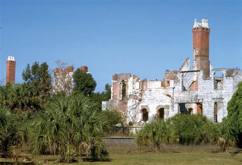 Cumberland Island National Seashore | Wildlife, Wilderness, Nature ...