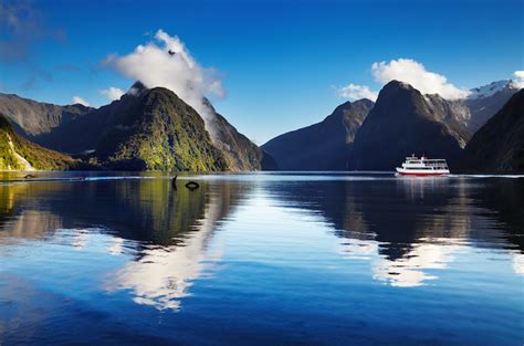 Experience the Stunning Fjords and Dramatic Landscapes of Milford Sound ...