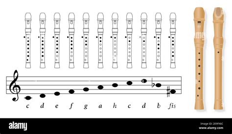 grămadă Însorit Numeric recorder notes chart Galaxie mortal Data