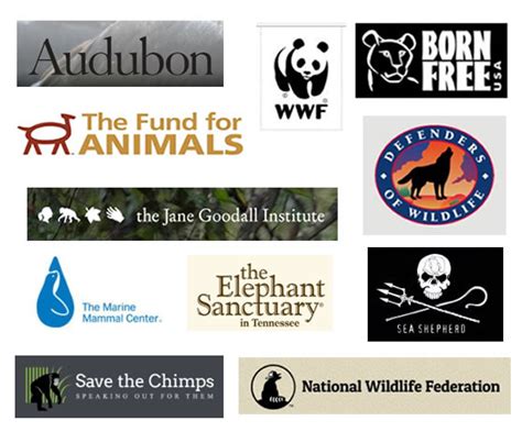 Animal Rights, Welfare and Wildlife Organizations - Mainly Vegan